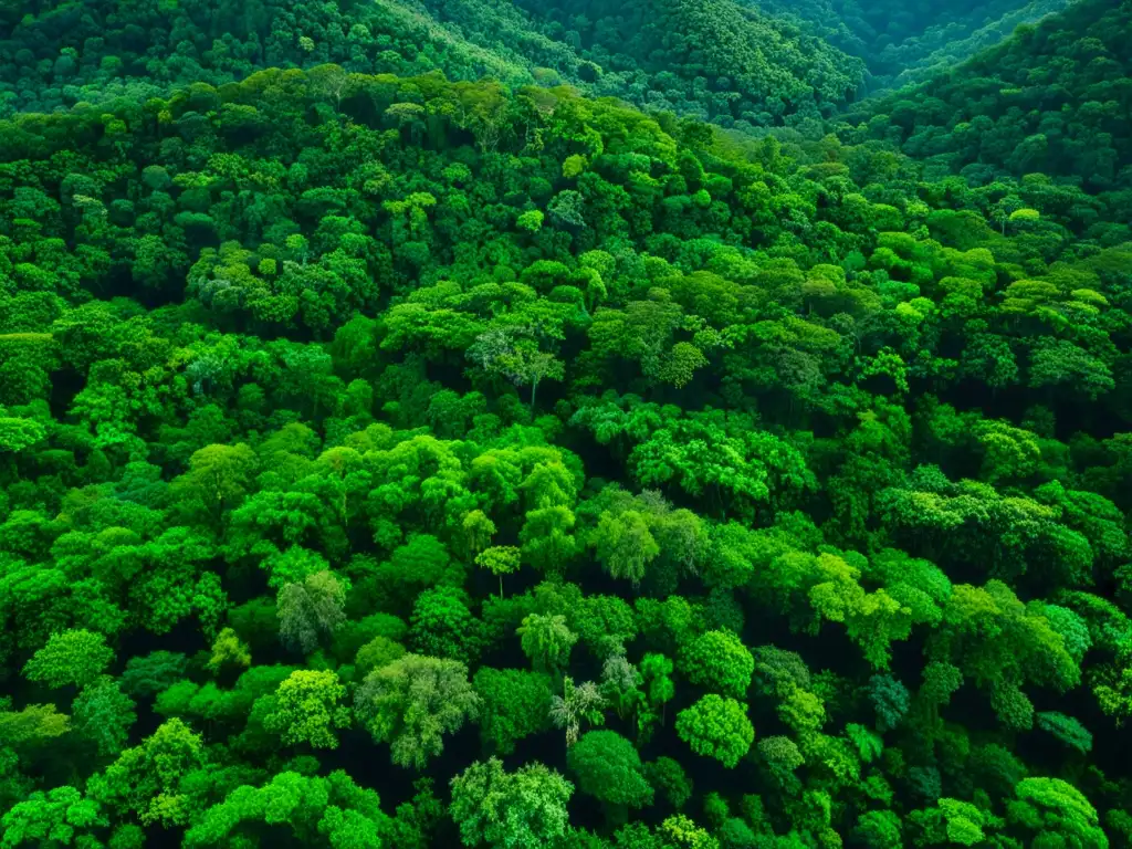 Increíble fotografía aérea de una exuberante selva tropical, con un mosaico de tonos verdes y la influencia de las selvas tropicales en el clima