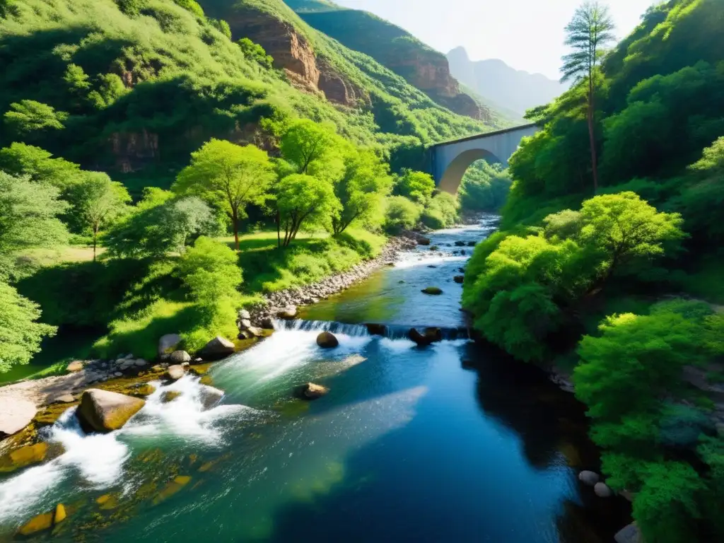 Arroyo sereno con agua clara y vegetación exuberante