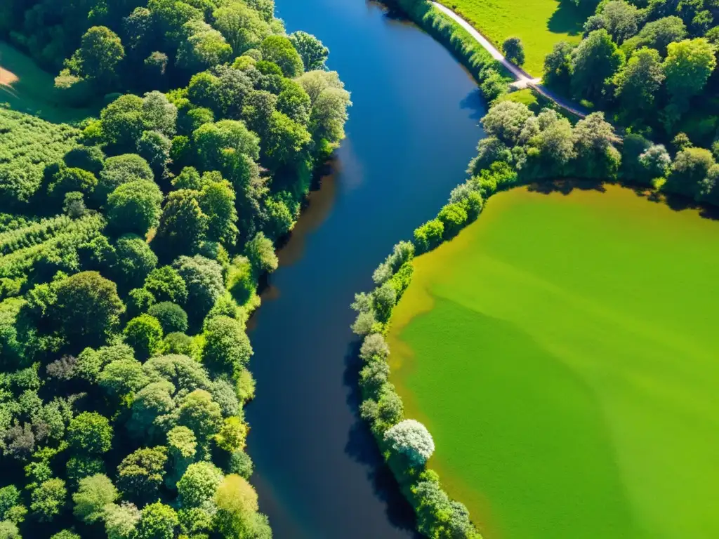 Un arroyo serpenteante entre colinas verdes, con un sistema de microhidroelectricidad instalado en el borde del agua