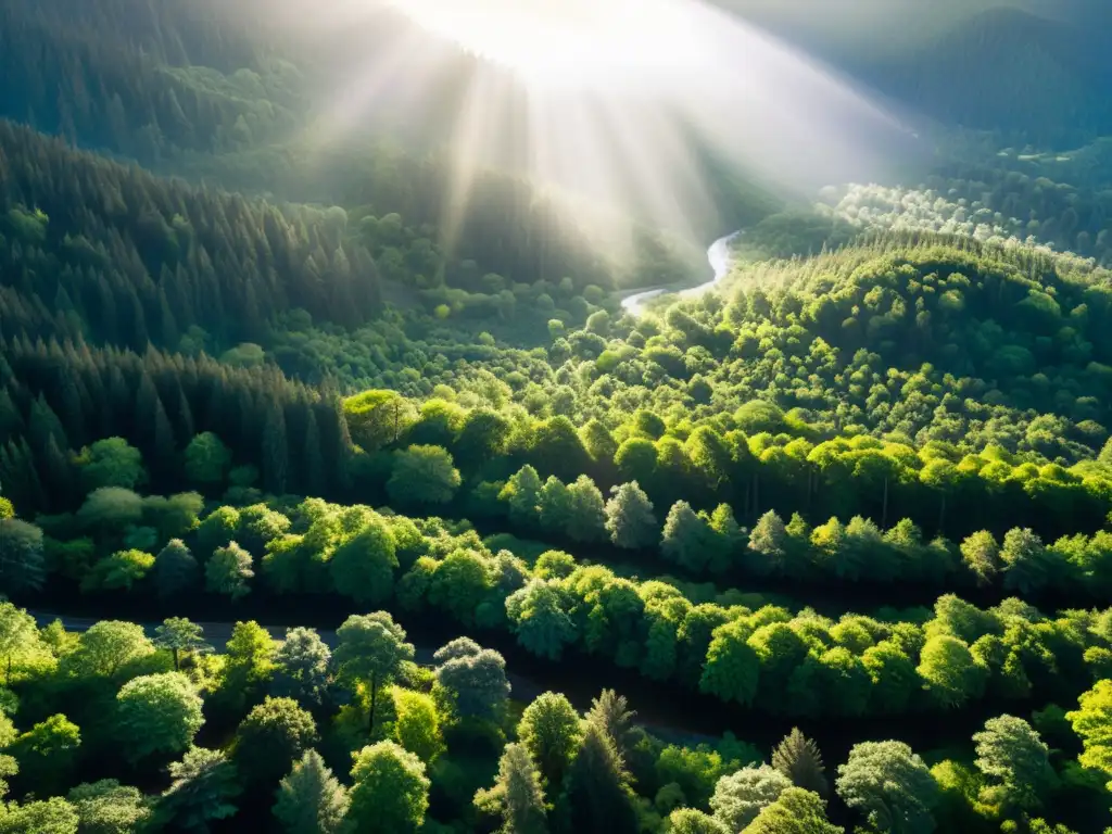 Un bosque exuberante y biodiverso, con árboles majestuosos, vida vegetal vibrante y una variedad de fauna