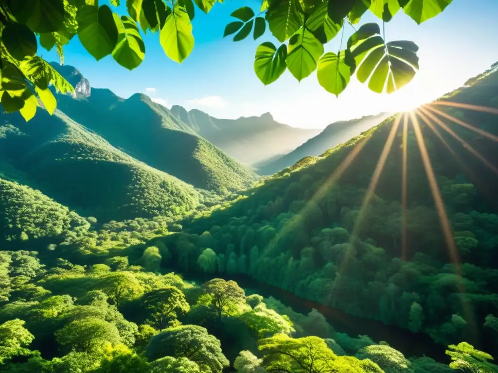 Un bosque exuberante con luz solar que atraviesa el dosel resaltando los colores vibrantes de la vegetación y el ecosistema diverso