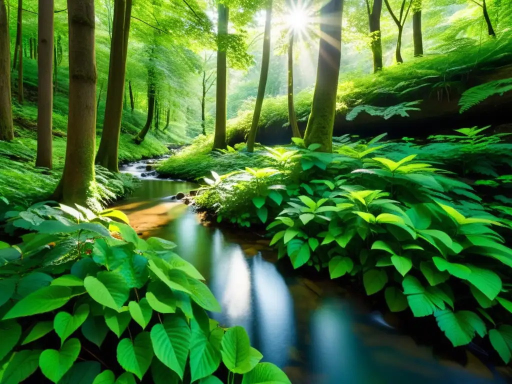 Un bosque exuberante con luz solar filtrándose a través del dosel, resaltando las hojas verdes y proyectando sombras moteadas en el suelo del bosque