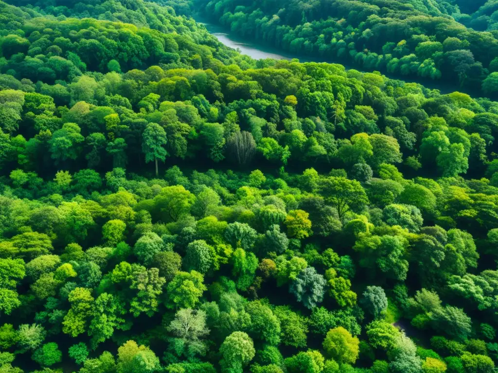 Un bosque exuberante y vasto, con luz solar filtrándose entre el dosel y proyectando sombras en el suelo