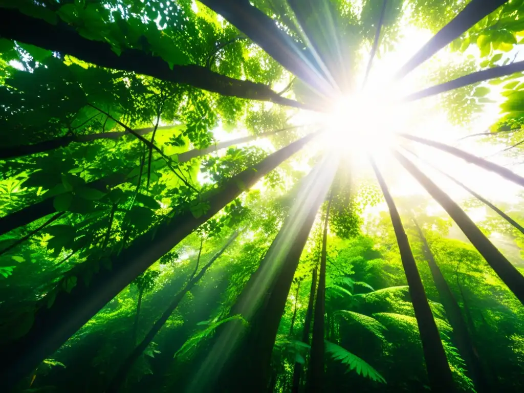 Un bosque exuberante y vibrante, con luz solar filtrándose entre el dosel, resalta la diversa vida vegetal