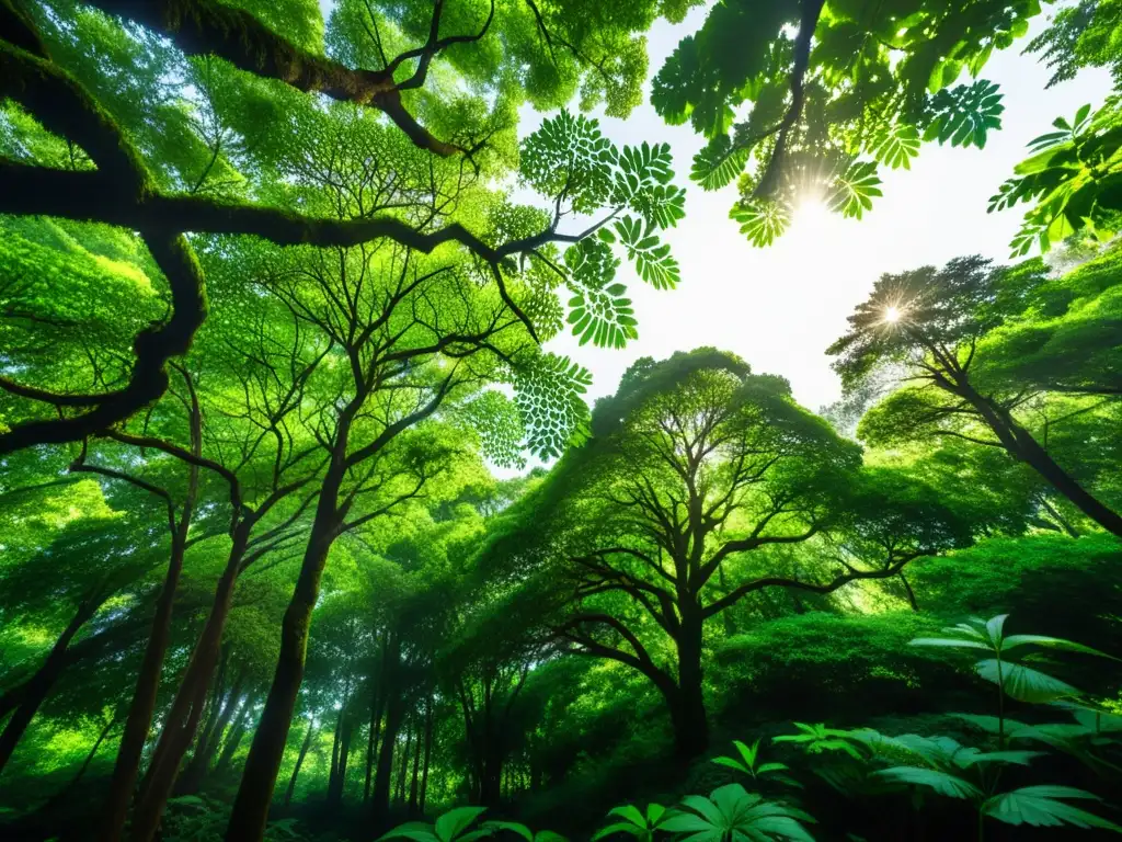 Un bosque exuberante y vibrante, con luz filtrándose entre las hojas