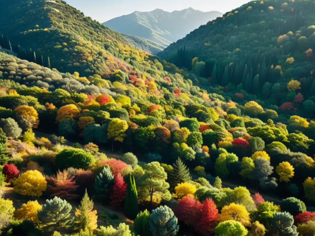 Un detallado paisaje de un bosque mediterráneo en otoño, con una rica variedad de colores mientras la vegetación pasa de verde a dorado y rojo