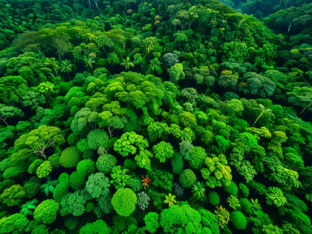 Simulación de ecosistemas globales: Una selva exuberante y diversa vista desde arriba, con detalles nítidos y una belleza natural impresionante