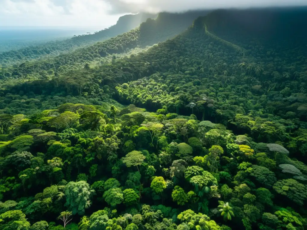 Espectacular selva tropical con diversidad de vida, resaltando la importancia de la conservación ecosistemas naturaleza cine