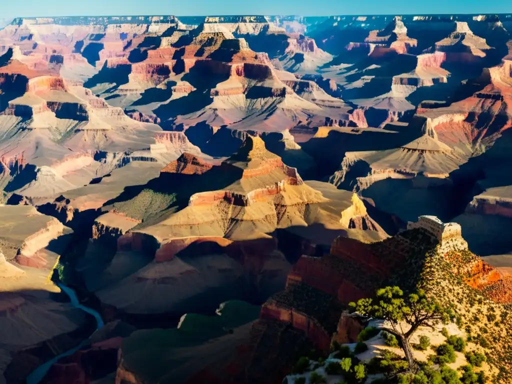 Espectacular vista del Parque Nacional del Gran Cañón al atardecer, con colores vibrantes y vida salvaje