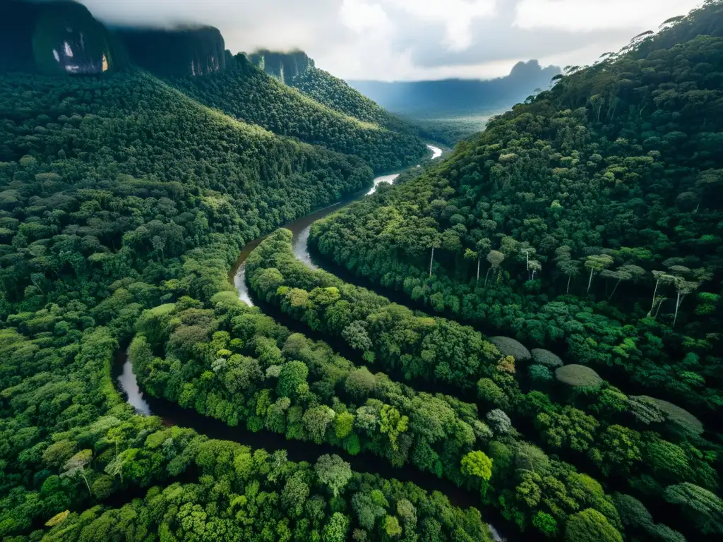 Exploración de los ecosistemas antiguos de Borneo: selva densa con árboles gigantes, río serpenteante y exuberante vegetación bajo la luz del sol