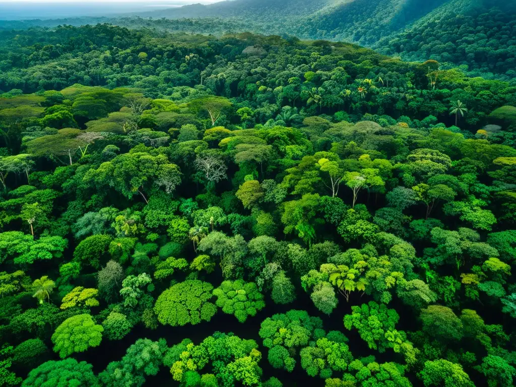 Una exuberante selva tropical llena de vida, con rayos de sol filtrándose entre el follaje