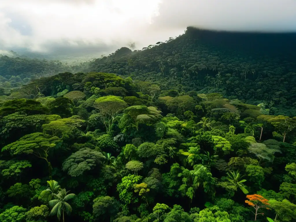 Un exuberante tramo del Amazonas, repleto de diversa flora y fauna