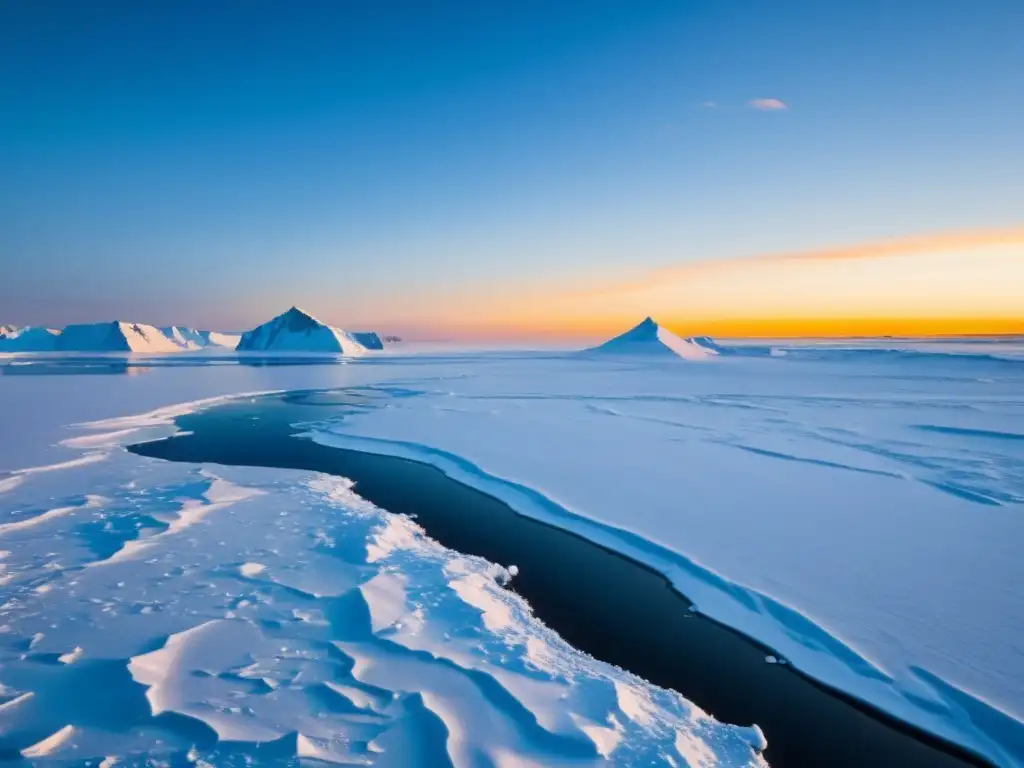 Imagen aérea deslumbrante del paisaje ártico helado al atardecer, con un oso polar