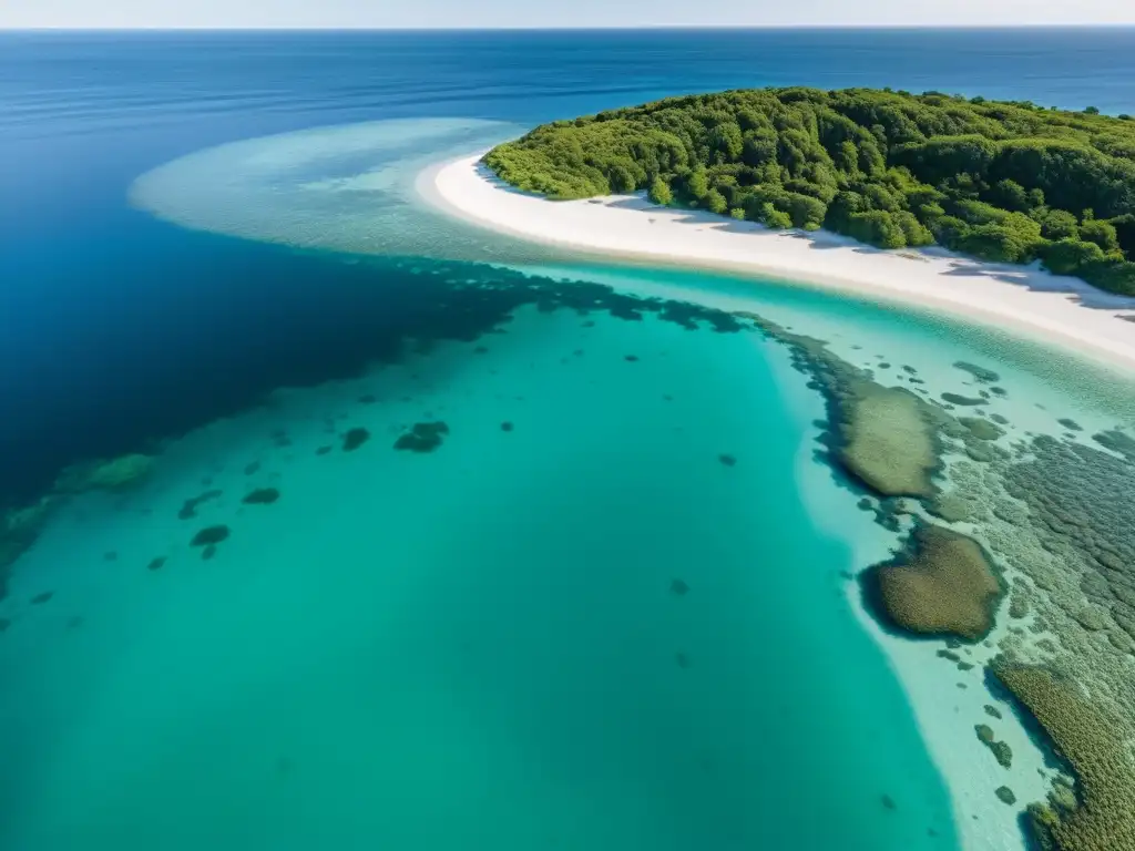 Imagen en 8k de las aguas cristalinas del Mar Báltico, mostrando la biodiversidad marina en la isla de Bornholm