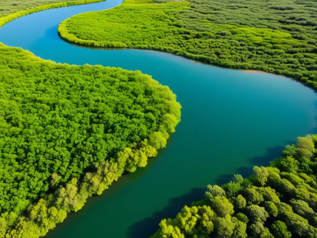 Imagen detallada del río sereno y exuberante flora y fauna del Parque Nacional Doñana