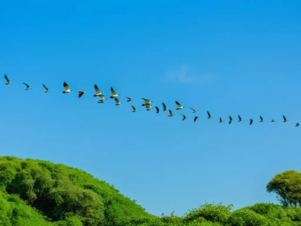 Imagen impactante de aves migratorias volando sobre un paisaje exuberante, destacando la interconexión de ecosistemas y el impacto del cambio climático en los patrones migratorios de aves