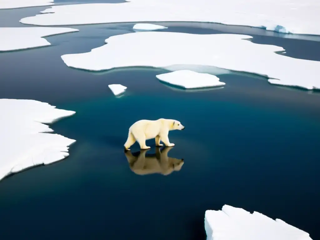 Imagen impactante del hábitat helado y remoto del oso polar, resaltando su majestuosidad y soledad