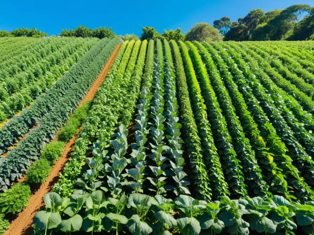 Imagen de un paisaje agrícola exuberante y vibrante, resultado de técnicas de agricultura que promueven ecosistemas saludables