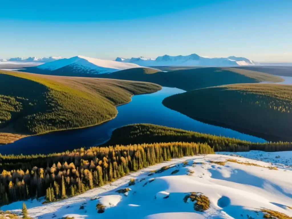 La imagen muestra la transición de la tundra a la taiga, con efectos del deshielo en la tundra