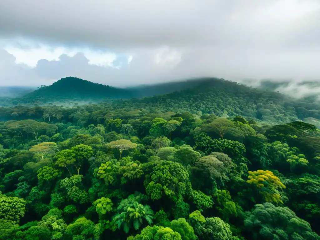 Una impresionante fotografía aérea de un exuberante y biodiverso dosel de selva tropical, destacando la importancia de la conservación de ecosistemas