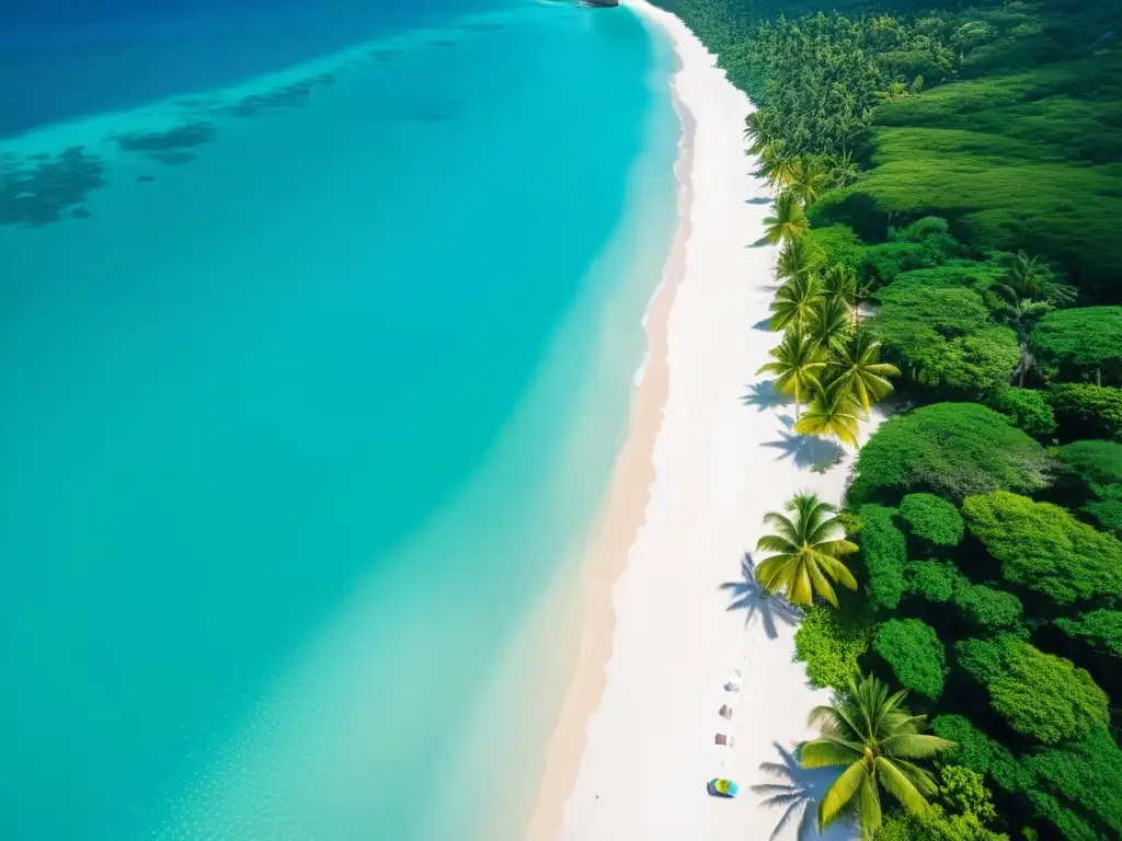 Una impresionante vista aérea de una playa tropical exuberante, bañada por la luz dorada