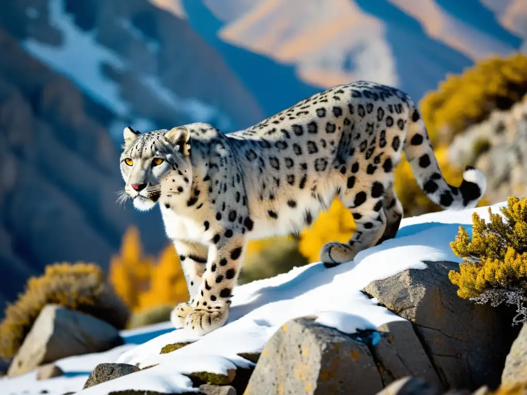 Leopardo de las nieves camuflado en la montaña, con adaptaciones únicas flora fauna montaña, mostrando fuerza y gracia en su mirada ámbar