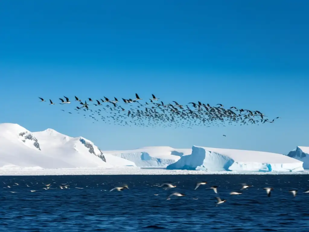 Un majestuoso grupo de aves migratorias antárticas vuela sobre el gélido paisaje, evocando la maravilla del ecosistema de hielo