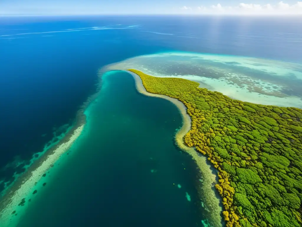 Mar de Sargazo ecosistema flotante: Vista aérea del impresionante mar de Sargazo con vida marina diversa entre las algas flotantes