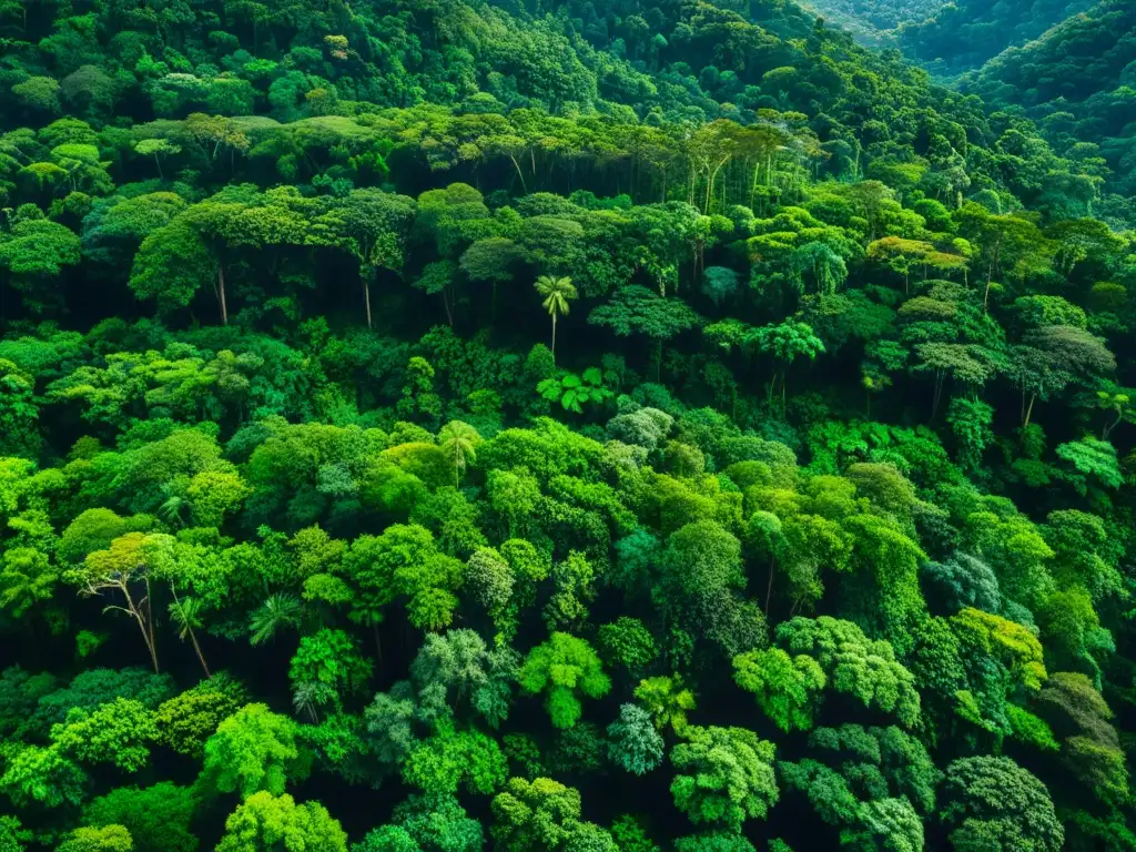 Maravillosa selva vertical con niveles de vida en selvas verticales, mostrando la belleza y complejidad de la vida vegetal en capas