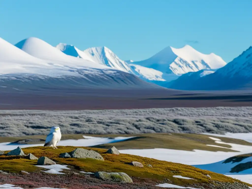 Un paisaje vasto de tundra con montañas nevadas al fondo, flora resistente al frío y caribúes pastando