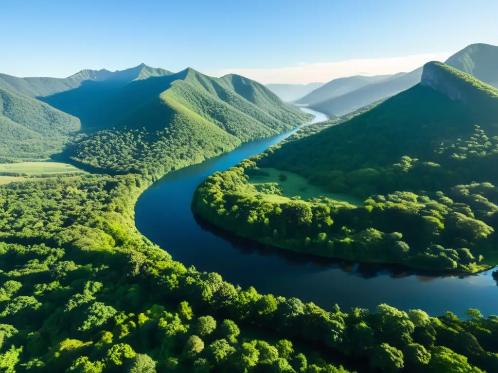 Un paisaje verde y vasto bajo un cielo azul, con un bosque exuberante, colinas y un río