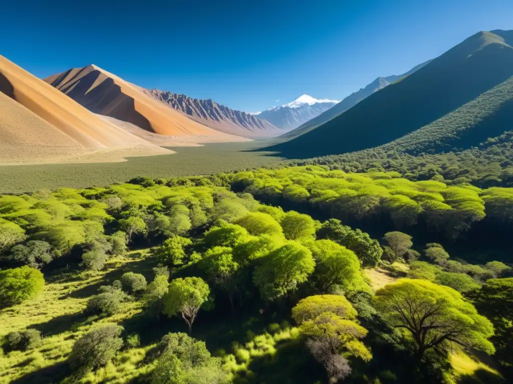 Resiliencia de los bosques de queñuales: un paisaje impresionante de luz y sombra, con árboles verdes vibrantes y un cielo azul profundo