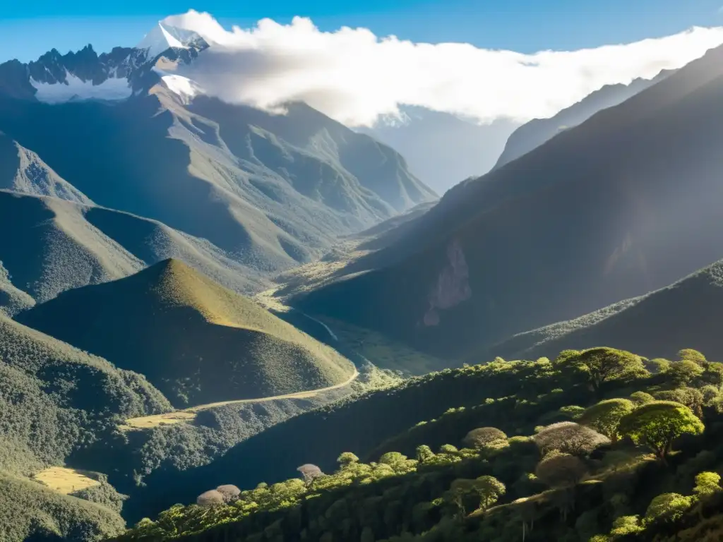 Resiliencia de los bosques de queñuales: Vista panorámica impresionante de un bosque de queñuales en los Andes, con árboles antiguos y picos nevados