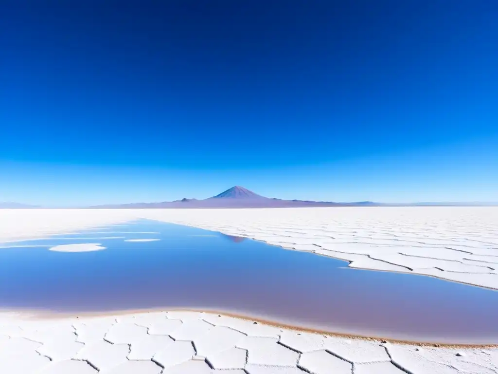 Biodiversidad en el Salar de Uyuni: Espejo de agua salada refleja cielo azul, montañas lejanas y flamencos en paisaje deslumbrante