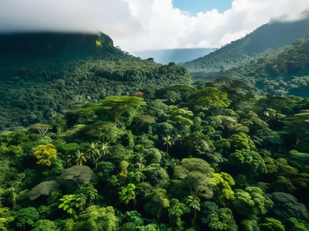 Una selva exuberante de la Amazonía colombiana en 8k