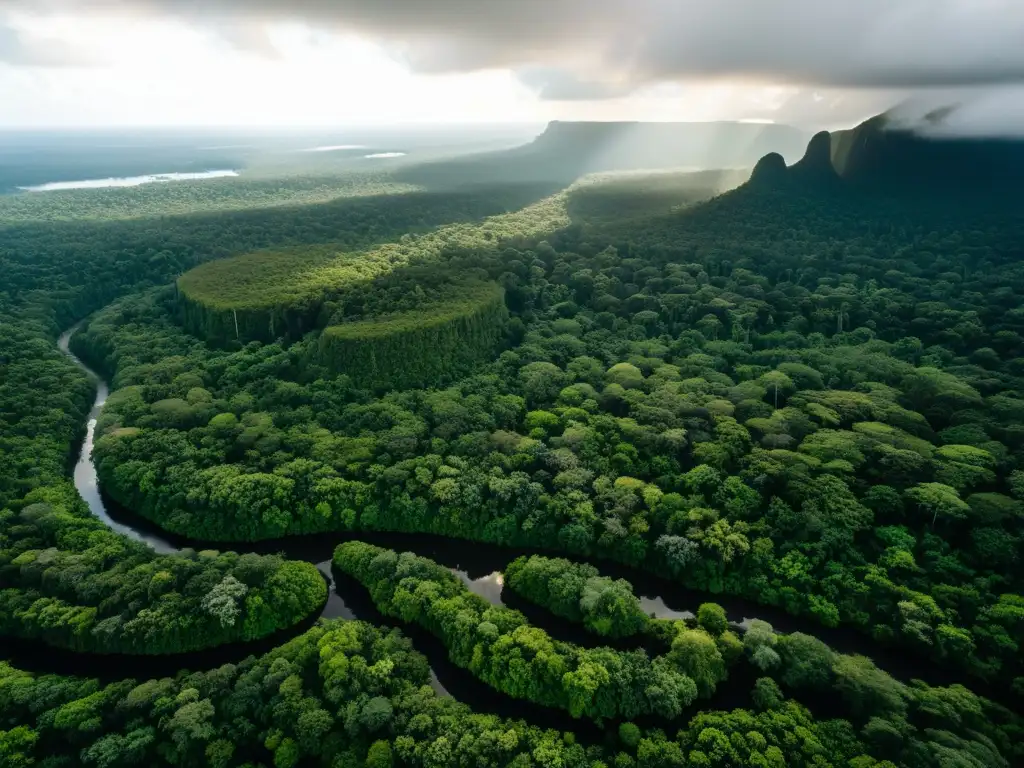 Una selva exuberante se extiende hasta el horizonte, con un río serpenteando entre árboles