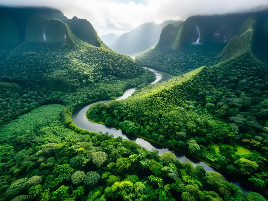 Una selva exuberante y neblinosa con un río serpenteante, muestra la narrativa cambio climático ficción realidad