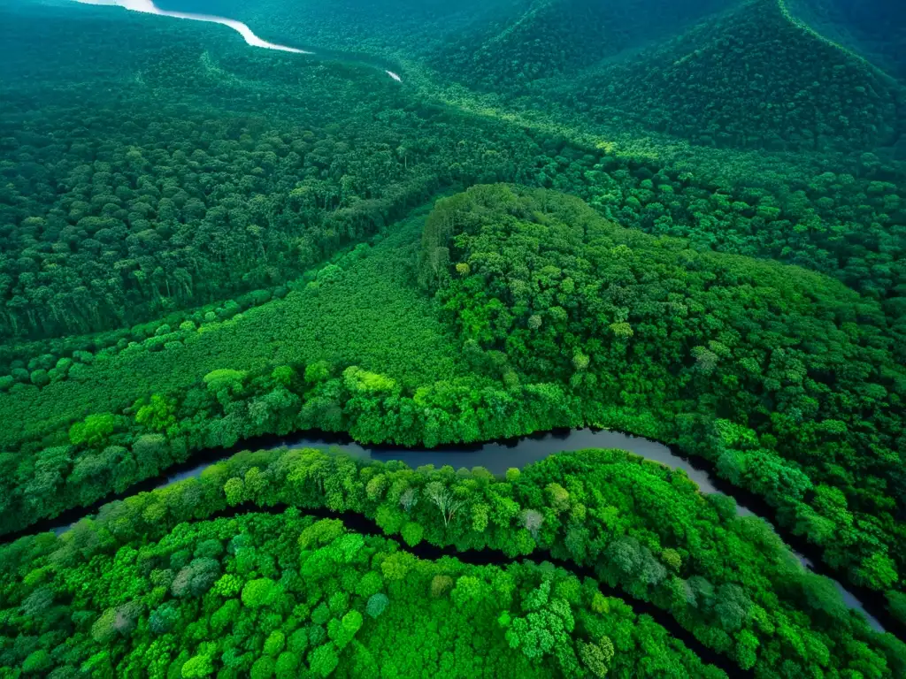 Selva tropical prístina contrastada con área deforestada por minería ilegal, impacto ambiental evidente