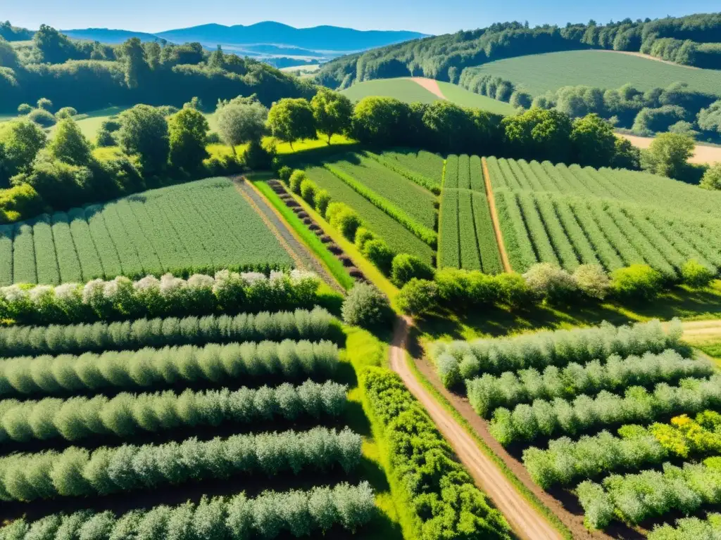 Un sistema agroforestal armonioso y sostenible