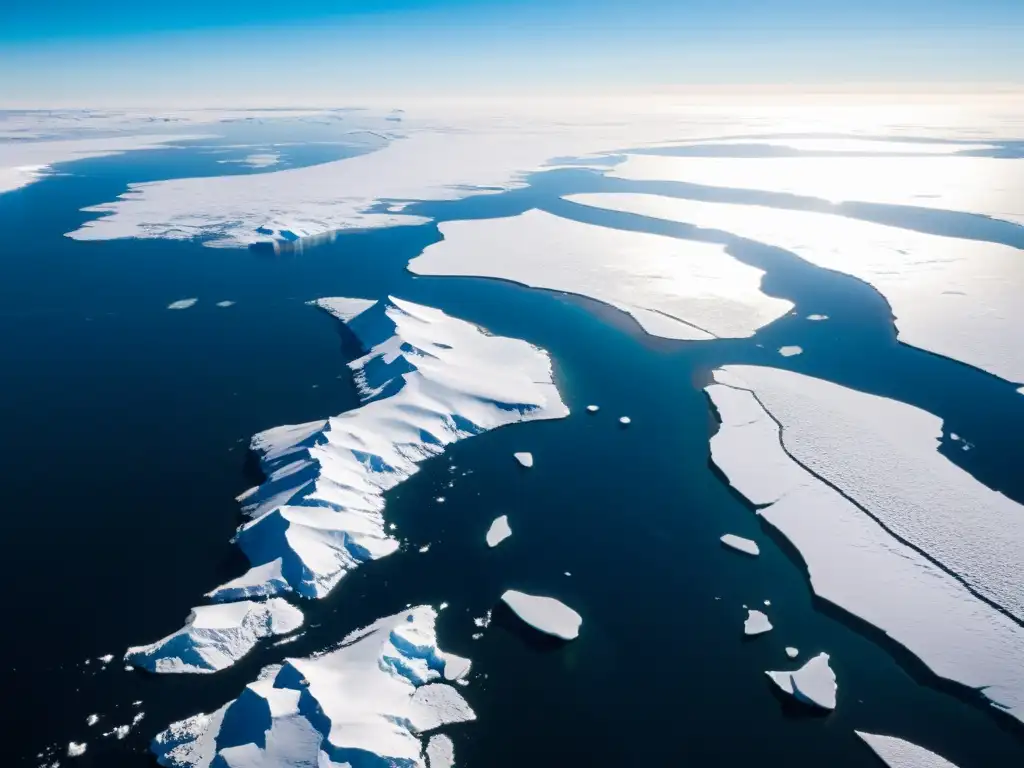 Vasta extensión helada del Ártico, con glaciares, icebergs y un oso polar