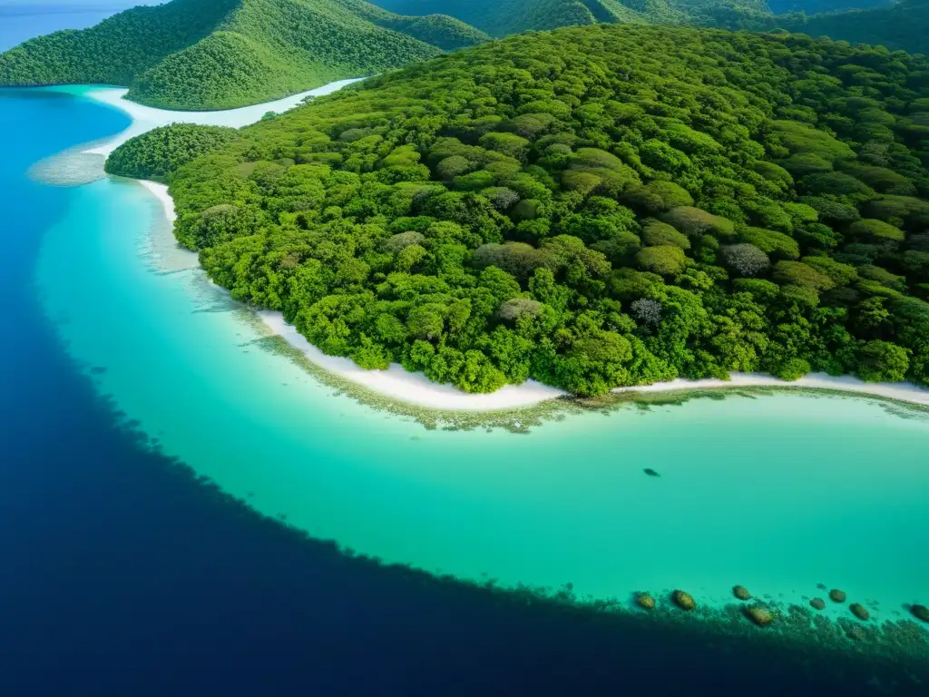 Vibrante conservación ecosistemas Islas Juan Fernández: diversidad natural en exuberantes bosques y aguas cristalinas