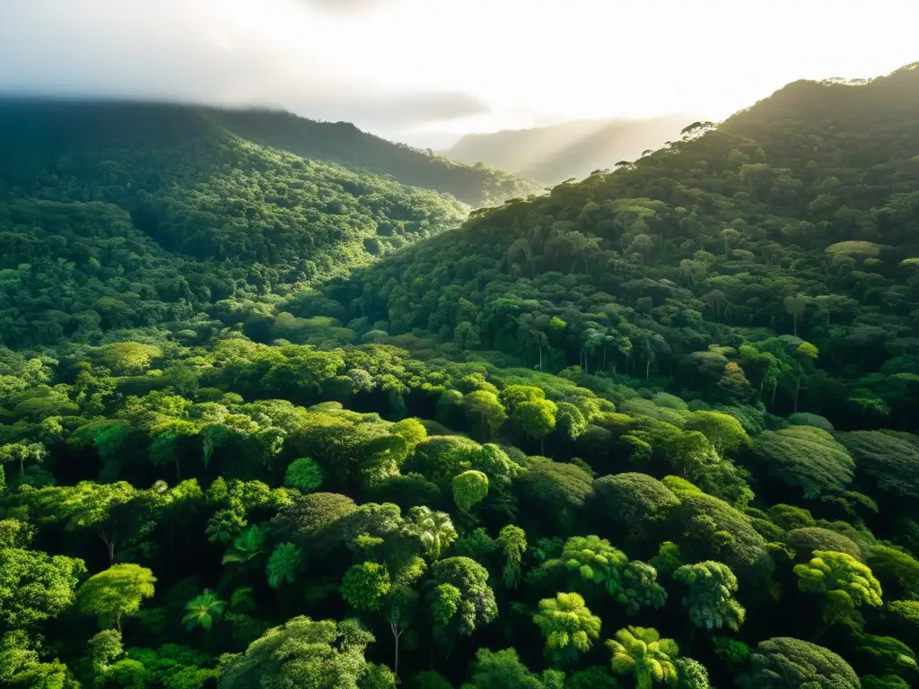 Vibrante bosque lluvioso con diversidad de especies resaltando la importancia de la genómica medioambiental