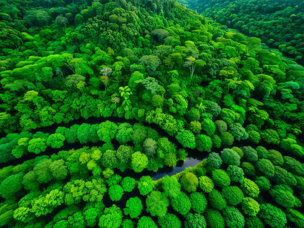 Vista aérea de un exuberante bosque tropical capturada por un dron, mostrando su biodiversidad