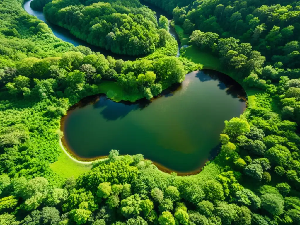 Vista aérea de exuberante paisaje verde con río serpenteante, filtrando luz entre el dosel