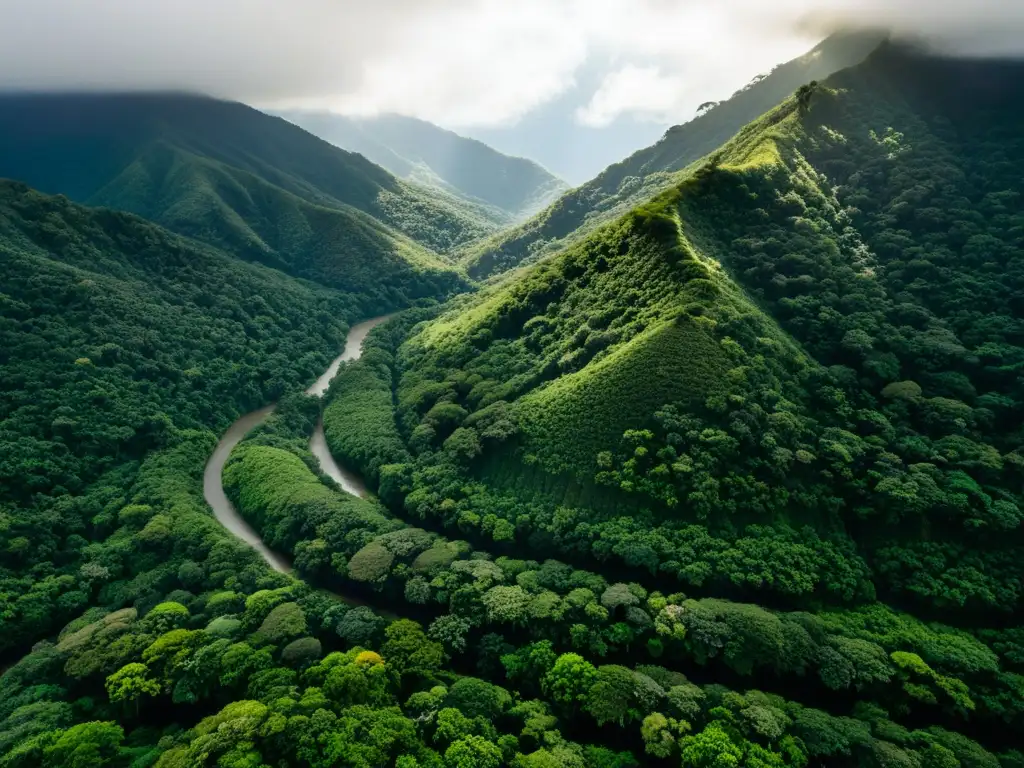 Vista aérea del exuberante paisaje verde de la Reserva de Monteverde en Costa Rica, líder en protección ambiental