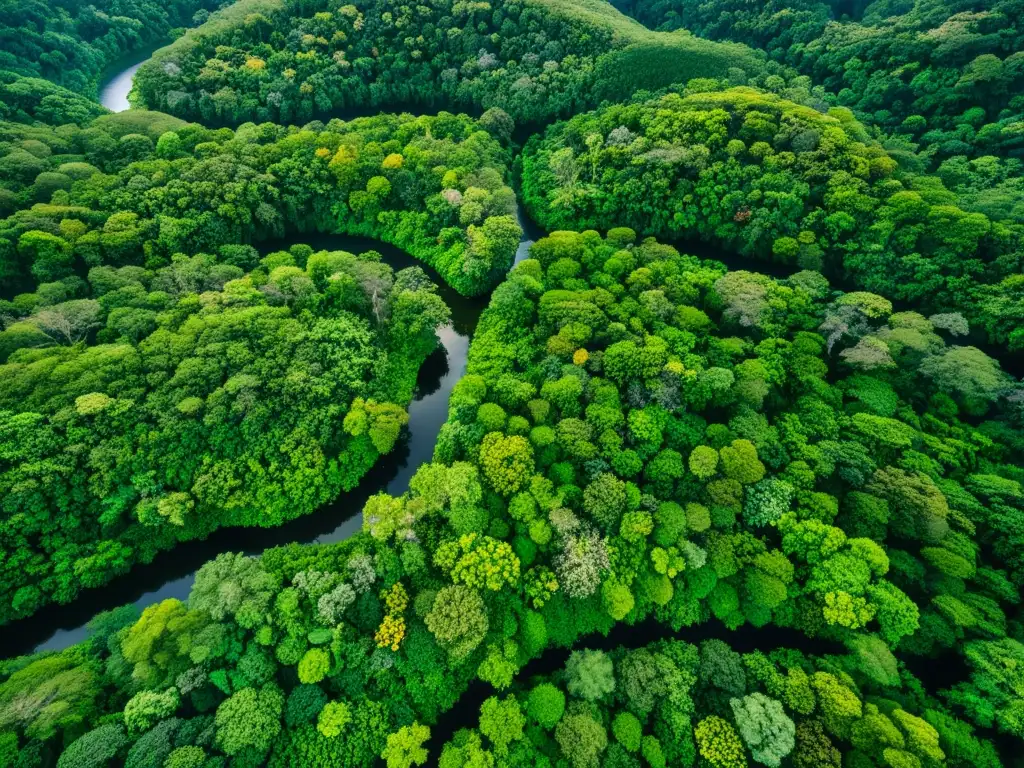 Vista aérea impactante de un exuberante dosel de selva, muestra la biodiversidad y el impacto de actividades antrópicas en el ecosistema