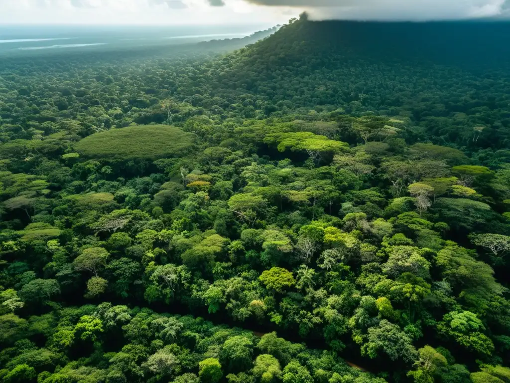 Vista aérea impresionante de la exuberante Reserva de la Biosfera Maya, con un manto de verde vibrante y ruinas antiguas entre la vegetación