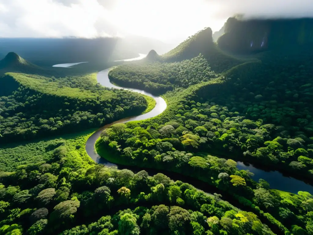 Vista aérea impresionante de un exuberante bosque lluvioso, resalta la importancia de reservas naturales para biodiversidad