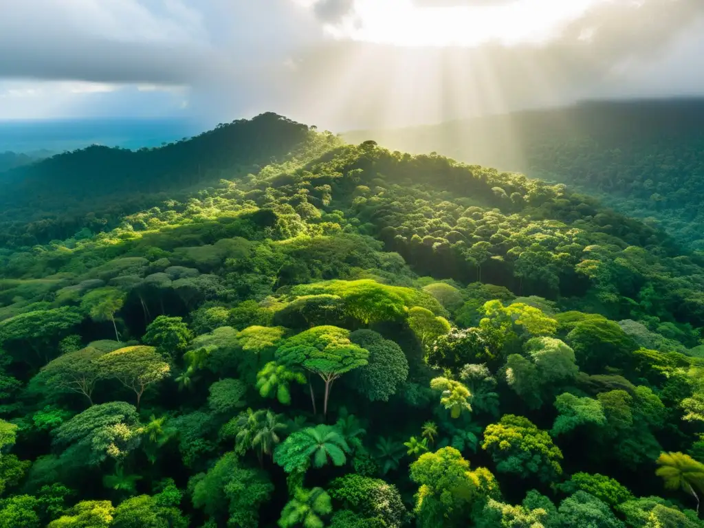 Vista aérea impresionante de un exuberante y vibrante dosel de selva con rayos de sol dorado filtrándose