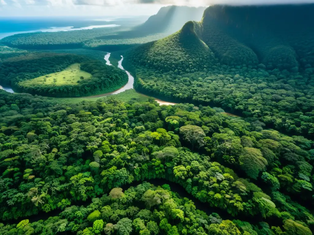 Vista aérea impresionante de un exuberante y virgen dosel de selva tropical, con ríos serpenteantes y vida silvestre